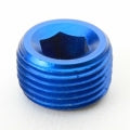 AN NPT Pipe Plugs