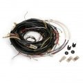VW Bug Wire Harness